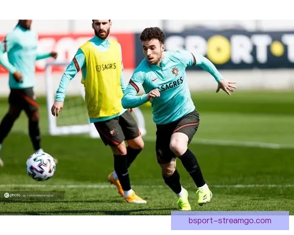 聚焦世界杯各队实力对比与备战策略分析，揭示冠军争夺的关键因素